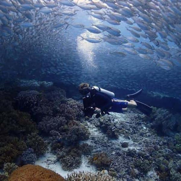 Diving in Raja Ampat